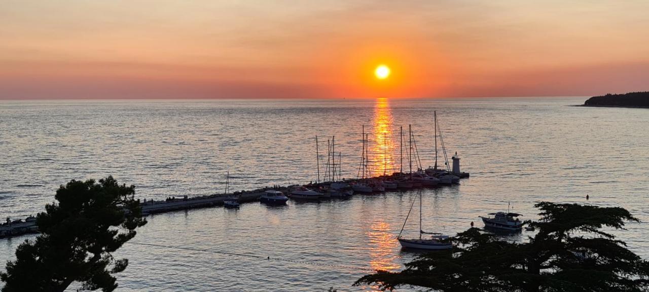 Villa Ruzica Dajla Dış mekan fotoğraf